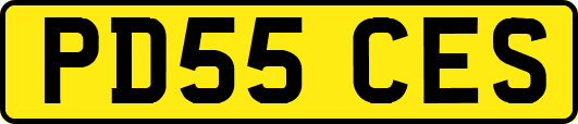 PD55CES