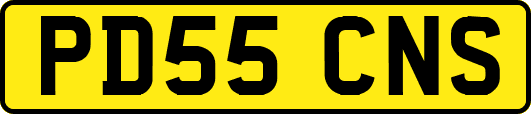 PD55CNS