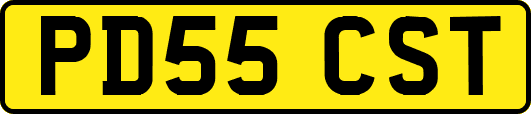 PD55CST