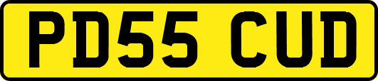 PD55CUD