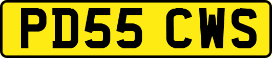 PD55CWS