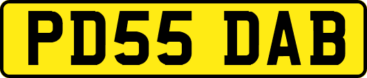 PD55DAB