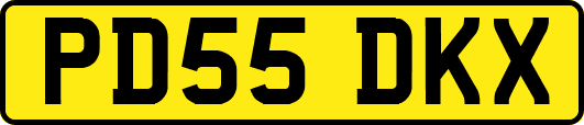 PD55DKX
