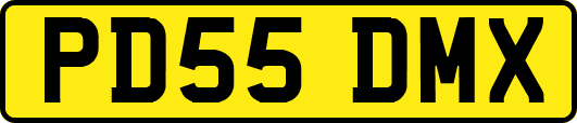 PD55DMX