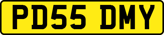 PD55DMY