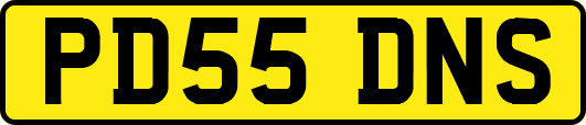 PD55DNS