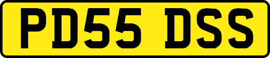 PD55DSS
