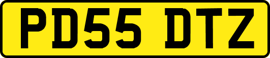 PD55DTZ