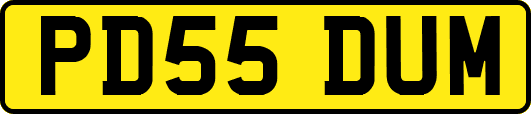 PD55DUM