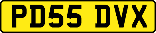 PD55DVX