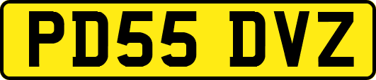 PD55DVZ