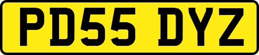PD55DYZ