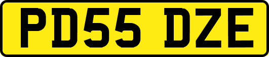 PD55DZE