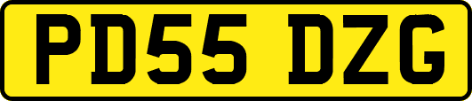 PD55DZG