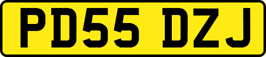 PD55DZJ