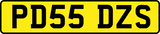 PD55DZS