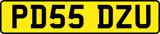PD55DZU