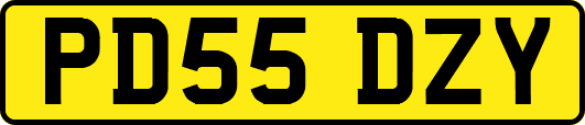PD55DZY