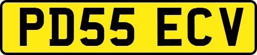 PD55ECV