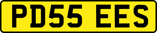 PD55EES