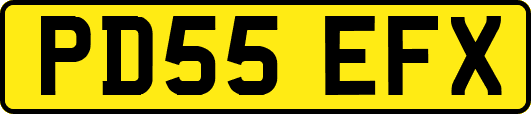 PD55EFX