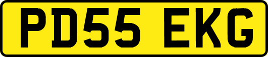PD55EKG