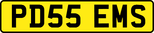 PD55EMS