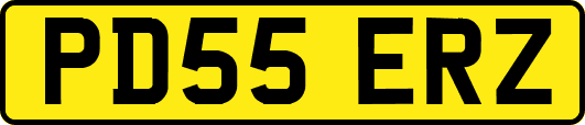 PD55ERZ