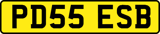 PD55ESB