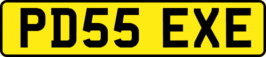 PD55EXE