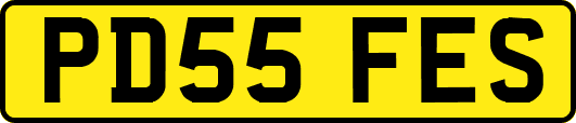 PD55FES