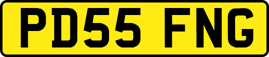 PD55FNG