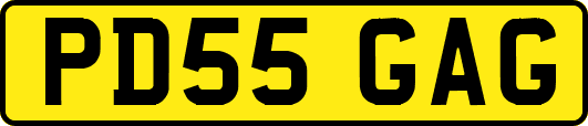 PD55GAG