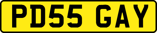 PD55GAY