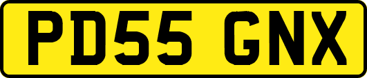 PD55GNX