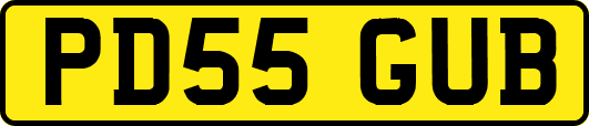 PD55GUB