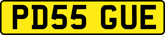 PD55GUE
