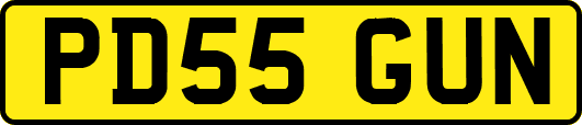 PD55GUN