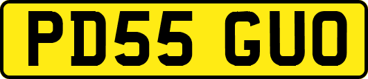 PD55GUO