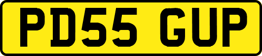 PD55GUP