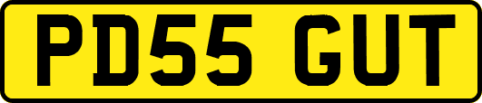 PD55GUT