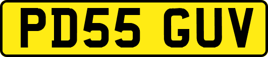 PD55GUV