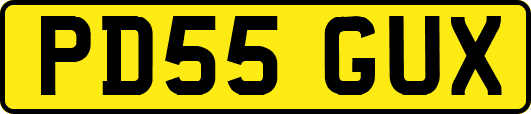 PD55GUX