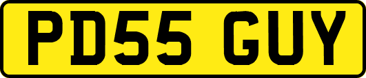PD55GUY