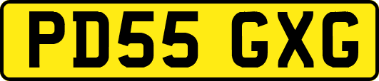PD55GXG