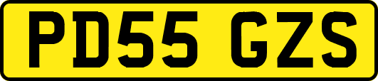 PD55GZS