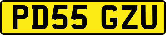PD55GZU
