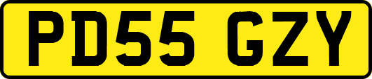 PD55GZY