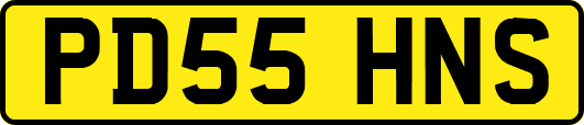 PD55HNS