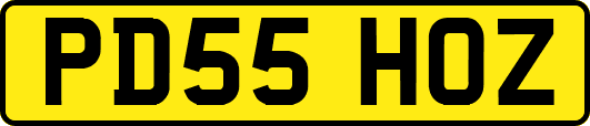 PD55HOZ